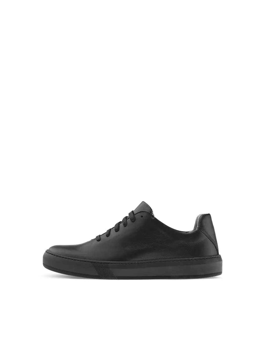 Teny Dark