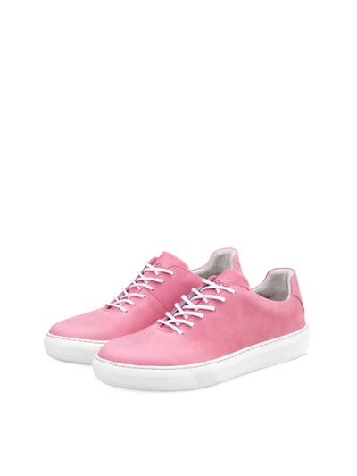 Teny Pink