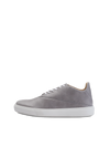 Veny Grey