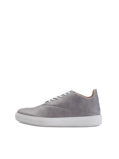 Veny Grey